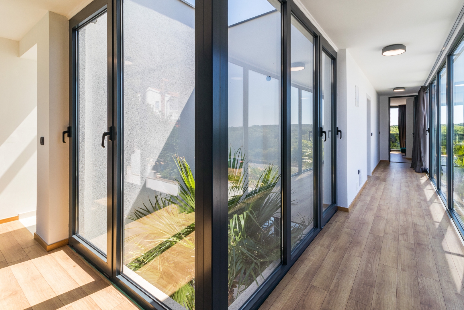 Glass-walled hallway lined with palms
